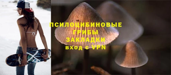 меф Белокуриха