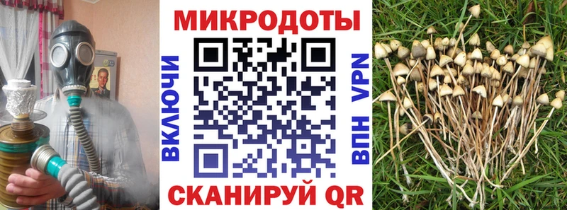 Галлюциногенные грибы MAGIC MUSHROOMS  цена наркотик  Бикин 