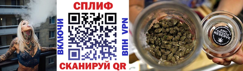 Бошки Шишки семена  цена   Бикин 